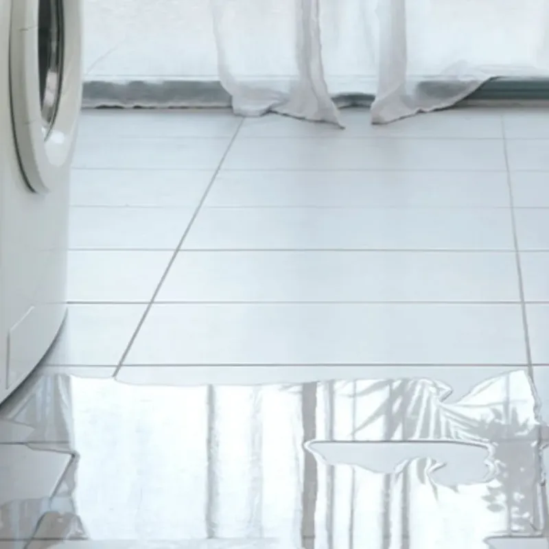 Appliance Leak Cleanup in Paola, KS