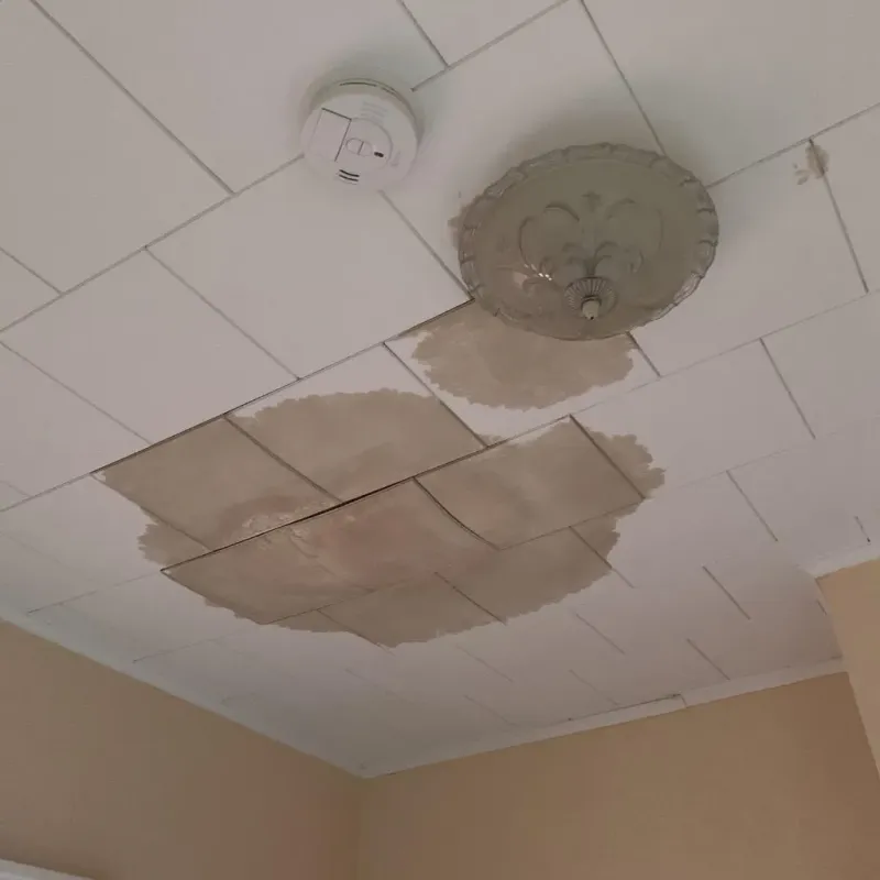 Ceiling Water Damage Repair in Paola, KS