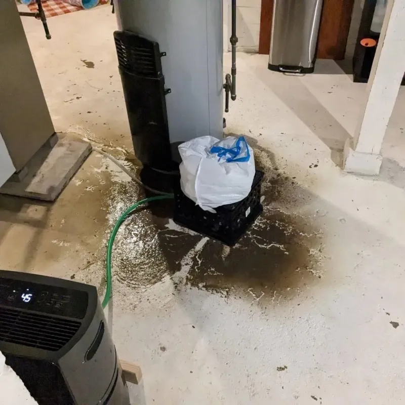 Sewage Backup Cleanup Service in Paola, KS
